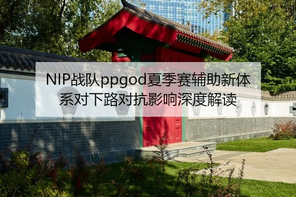 NIP战队ppgod夏季赛辅助新体系对下路对抗影响深度解读