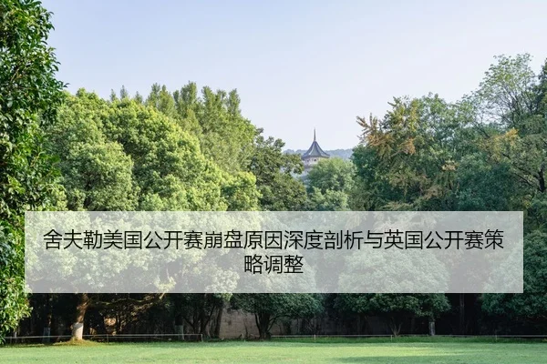 she-fu-lei-mei-guo-gong-kai-sai-beng-pan-yuan-yin-shen-du-pou-xi-yu-ying-guo-gong-kai-sai-ce-lve-tiao-zheng-2-449.jpg